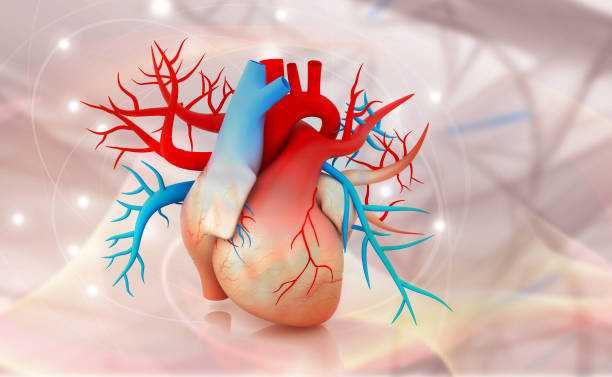 Диагностика и лечение сердечных пороков