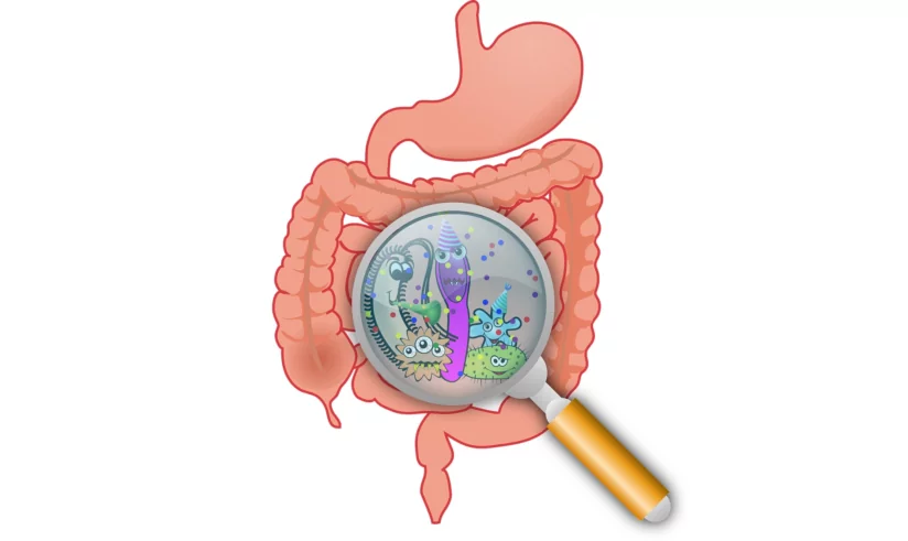 ПЦР-скрининг на острые кишечные инфекции