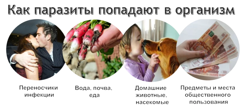 Диагностика паразитарных заболеваний