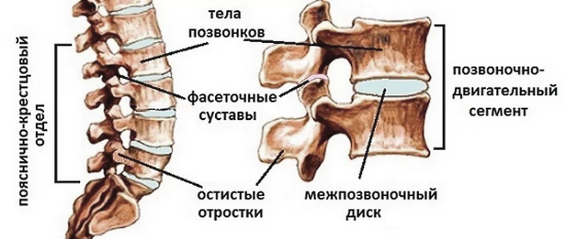 Остеохондроз позвоночника – диагностика, лечение