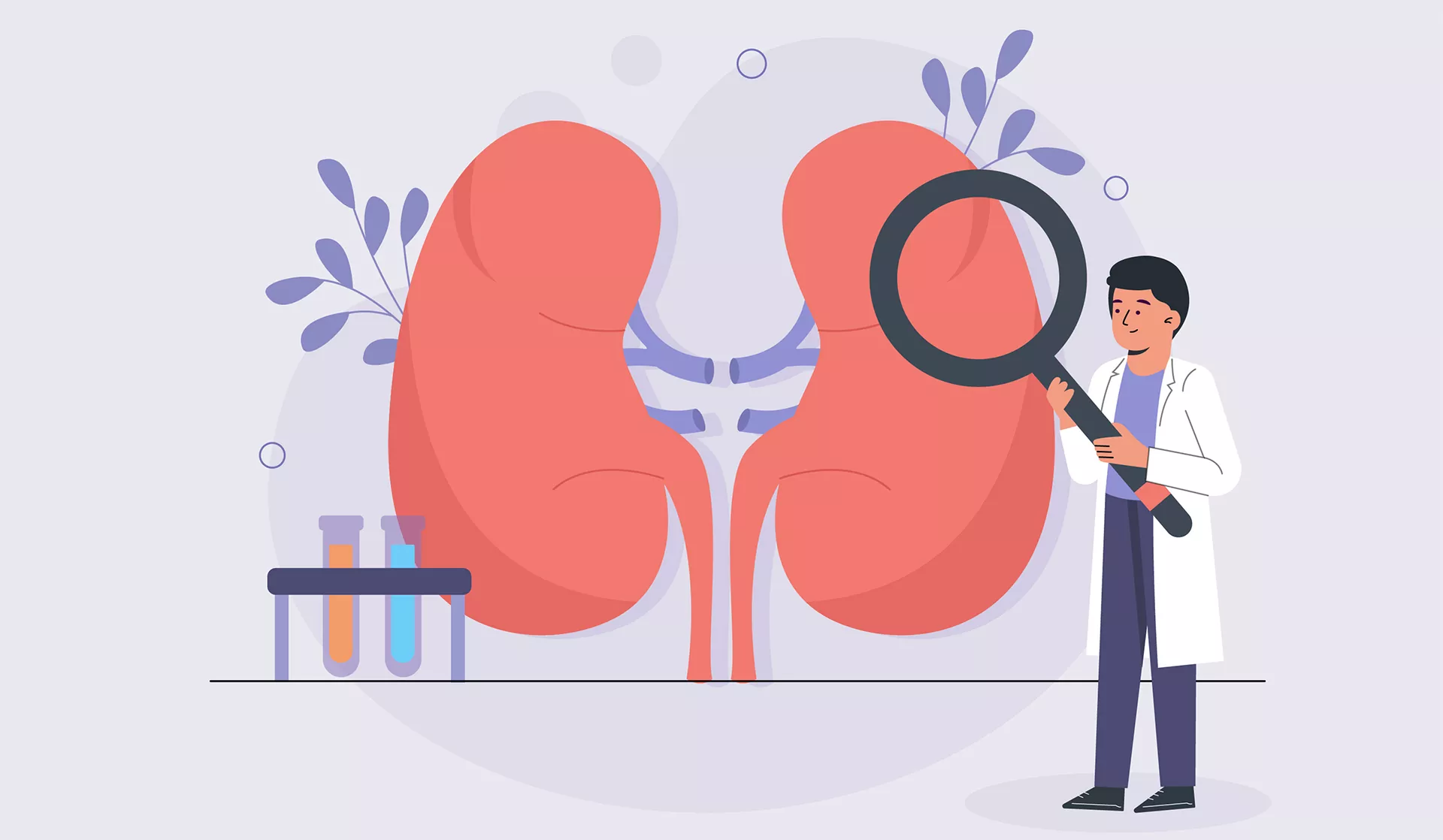 Пиелонефрит - причины, диагностика, лечение