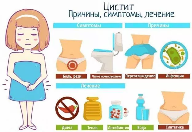 Цистит - причины, диагностика, лечение
