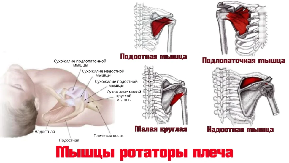 Импинджмент-синдром плечевого сустава — виды, лечение